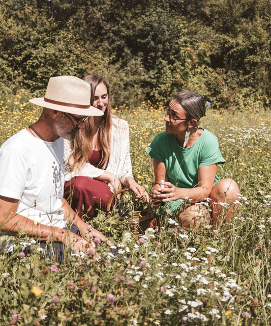 Kanadische Goldruten Tinktur