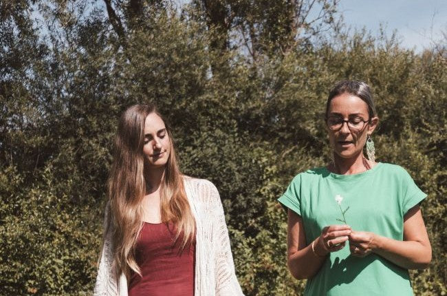 Ganzheitliche Entgiftung Tagesseminar