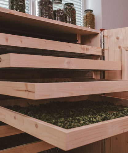 Brennnessel-Wurzel Essenz