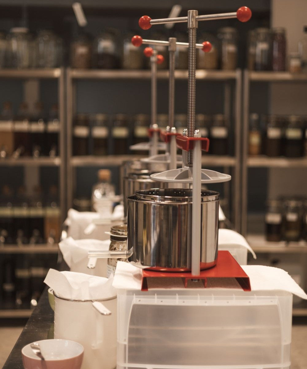 Zinnkraut (oder Ackerschachtelhalm) Essenz