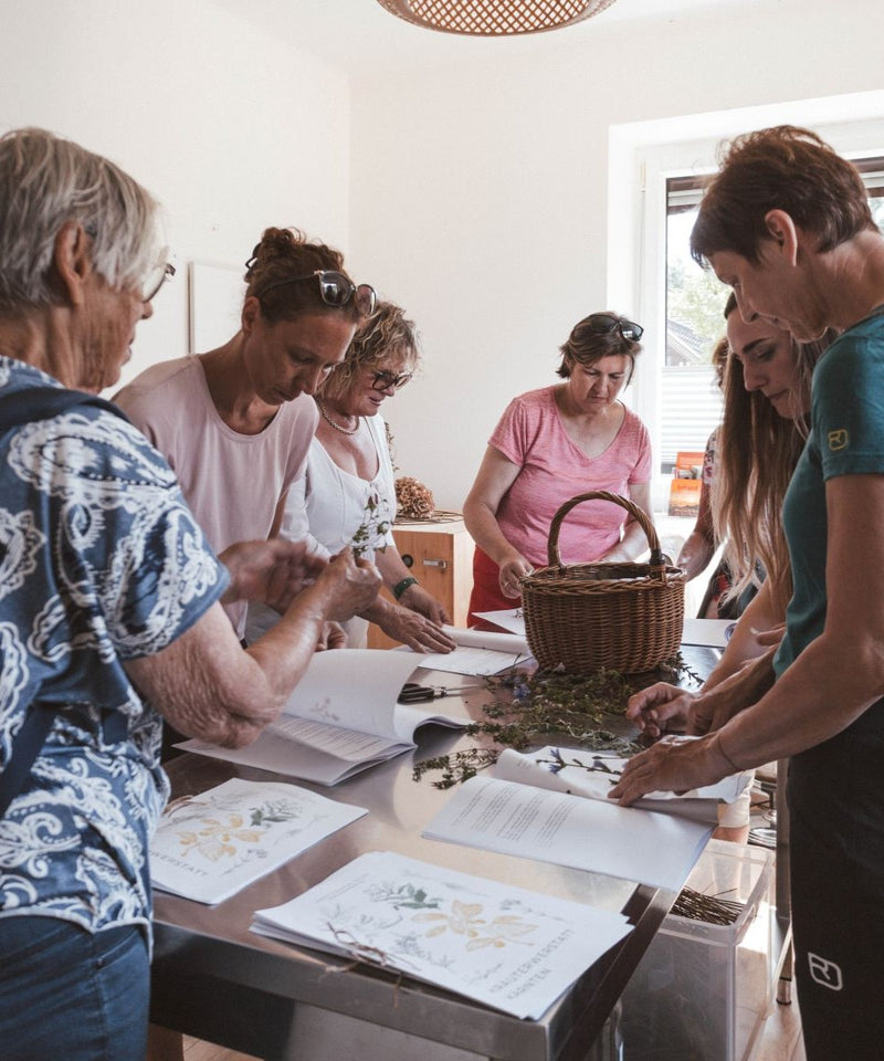 Workshop Kräuterauszüge - nächster Termin folgt