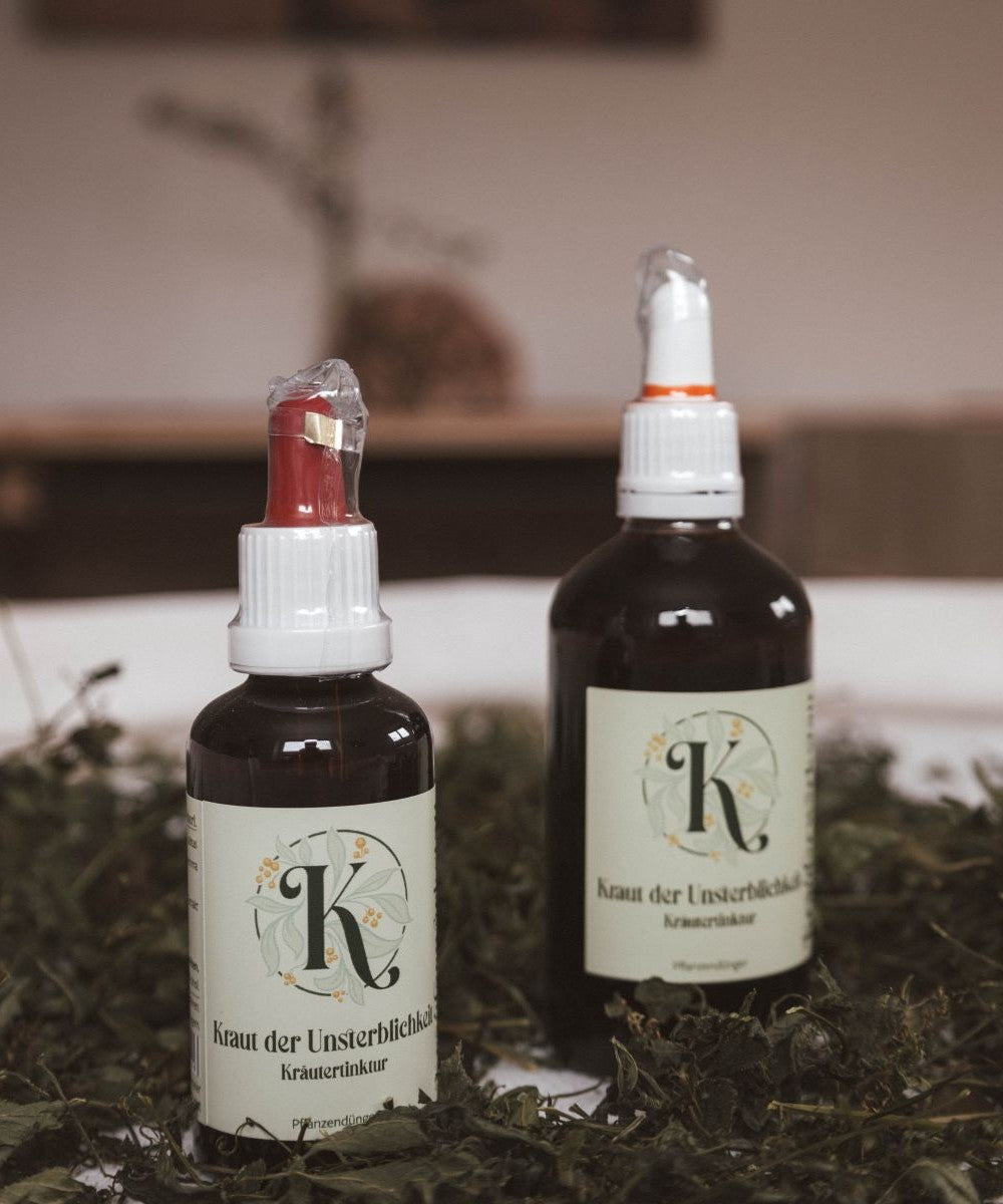 Kraut der Unsterblichkeit Tinktur