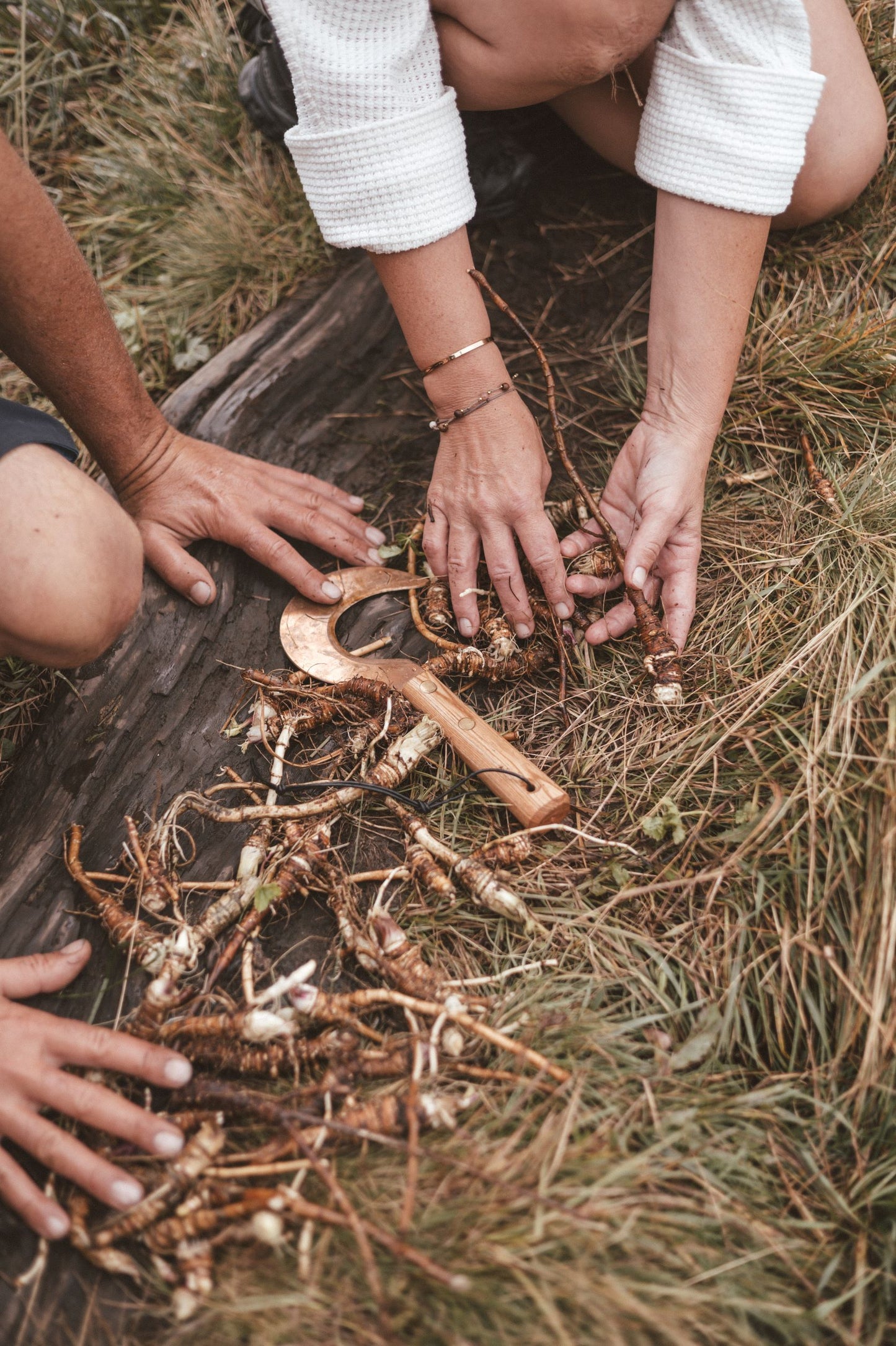 Essenza di Masterroot