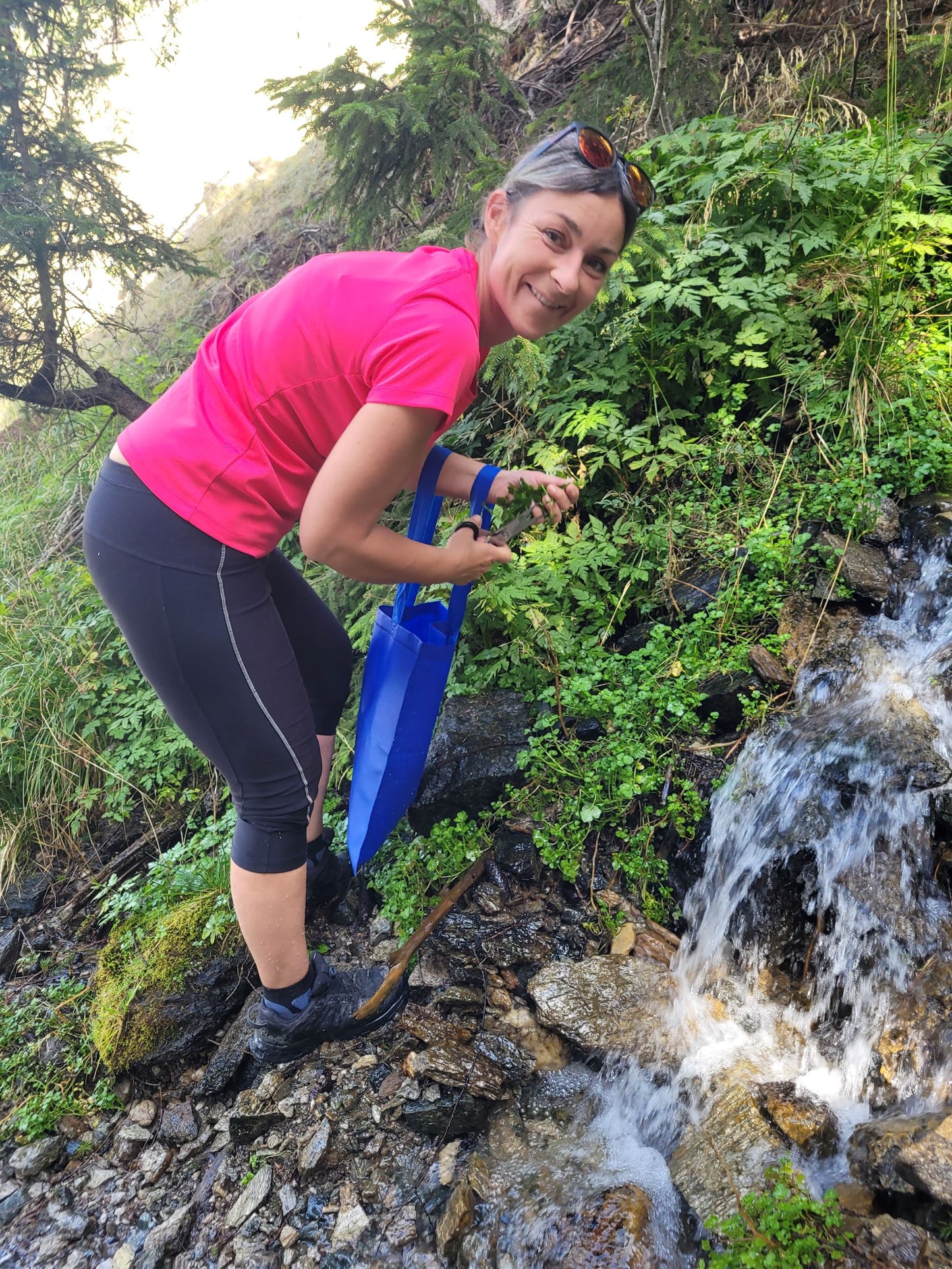 Brunnenkresse Essenz