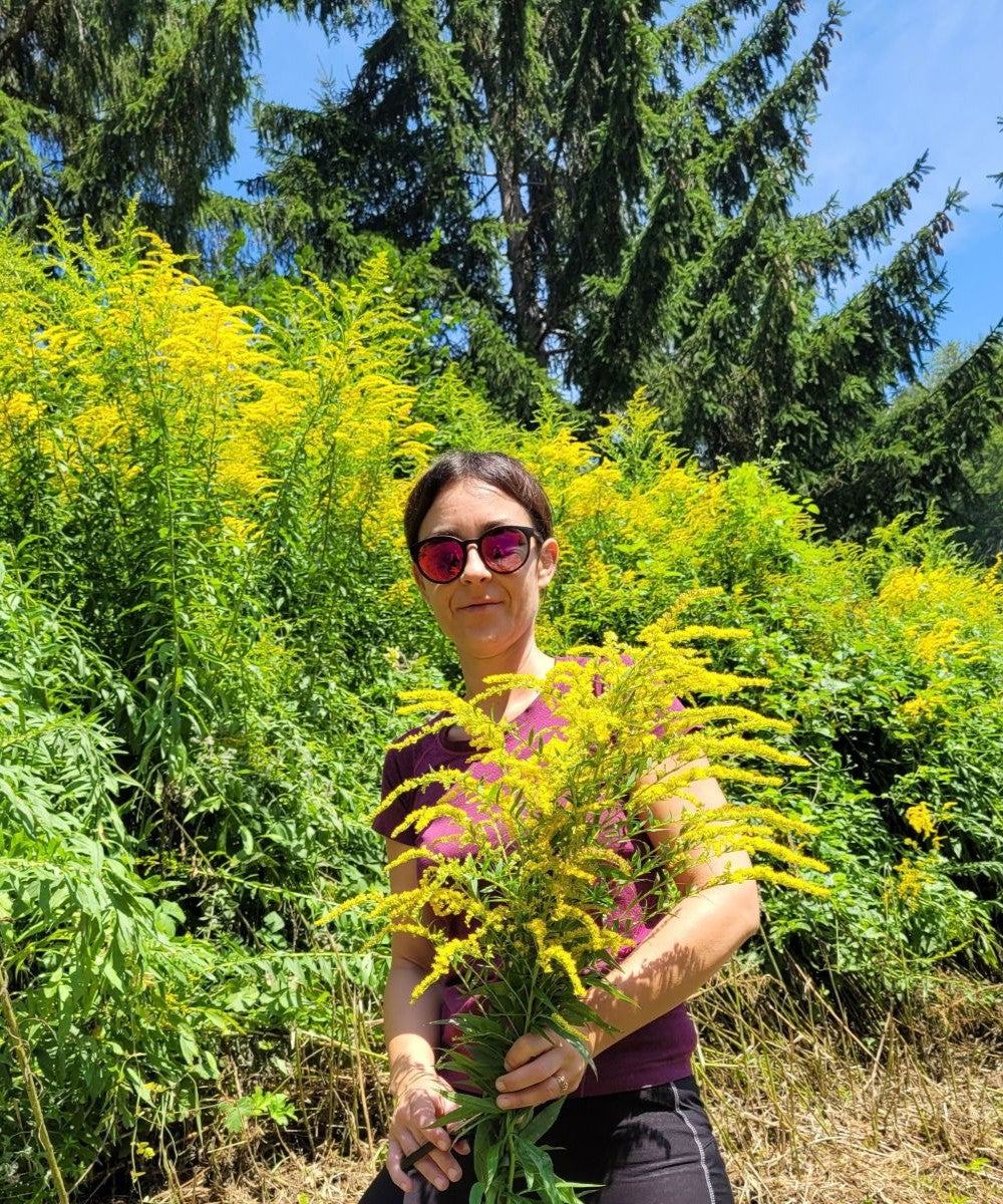 Kanadisches Goldruten Körpferpflege-Öl