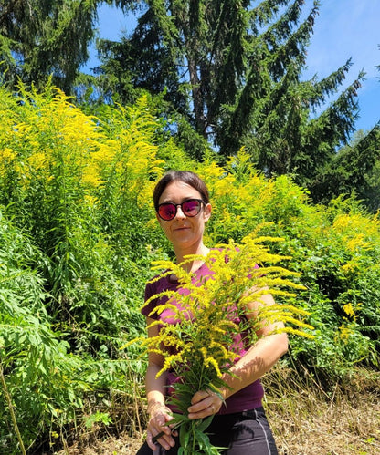 Kanadisches Goldruten Körpferpflege-Öl