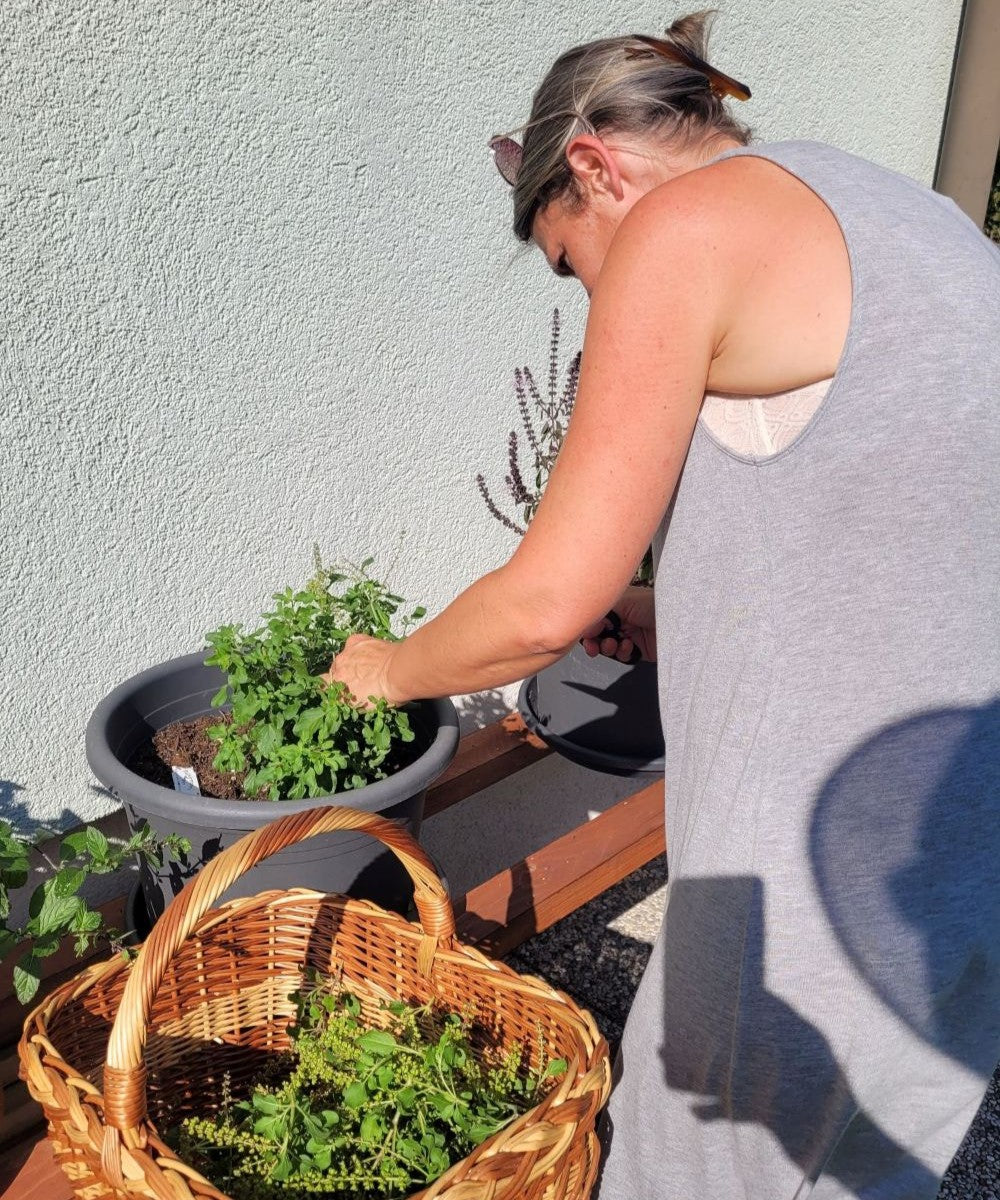 Königsbalsam Essenz