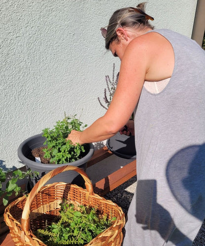 Königsbalsam Essenz