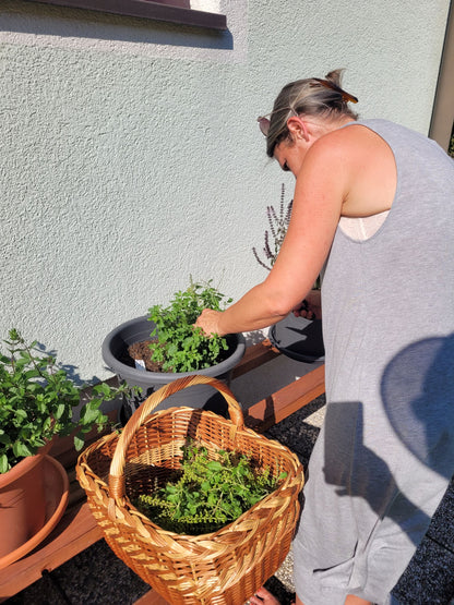 Königsbalsam Essenz