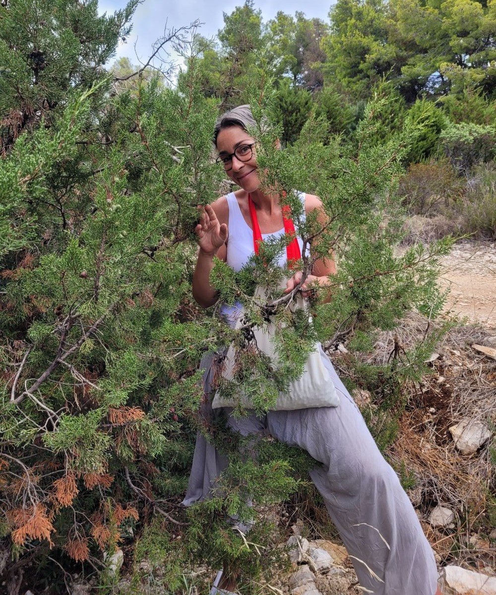 Wacholderbeeren Körperpflege-Öl