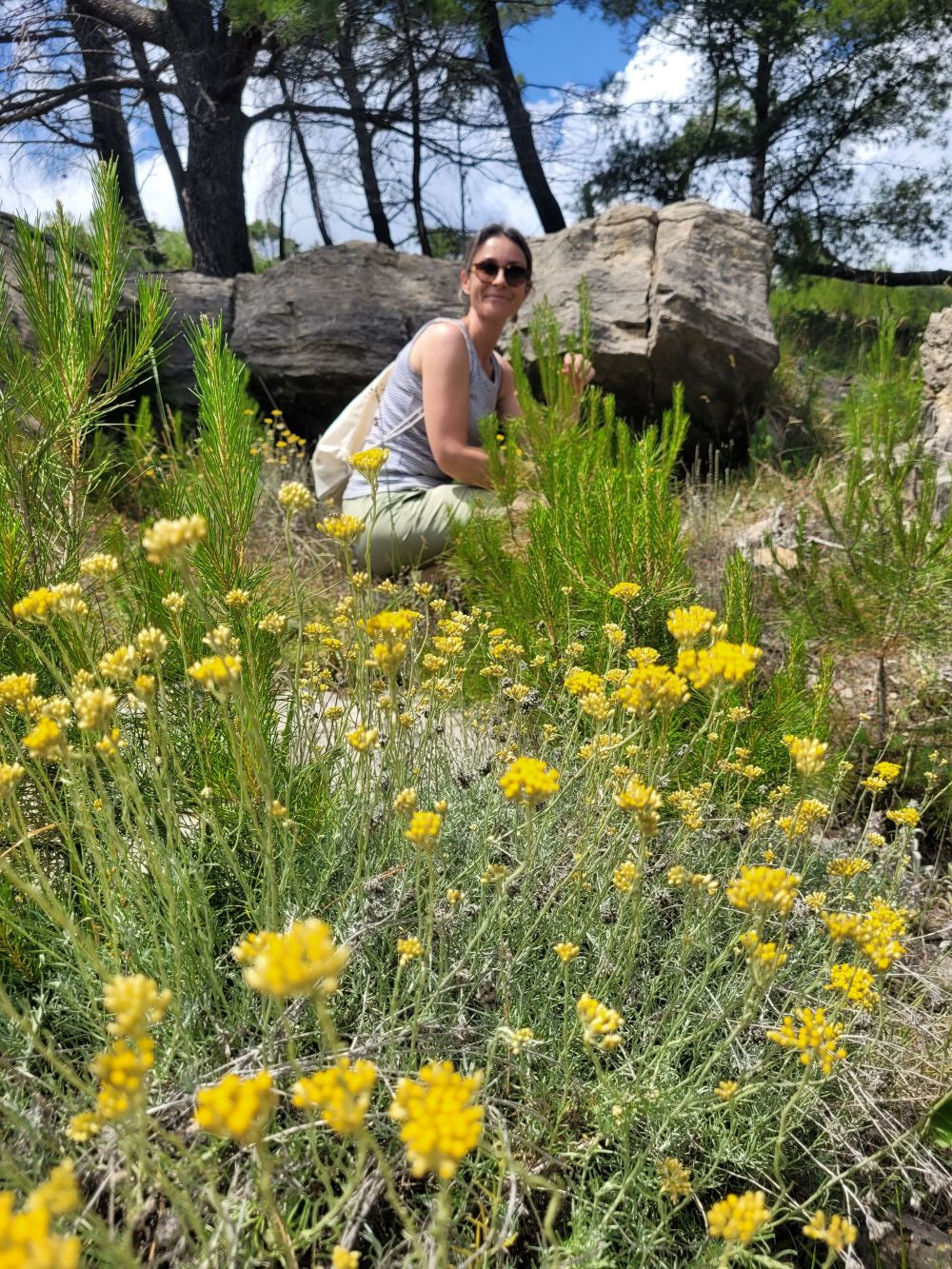 Immortelle Körperpflege-Öl