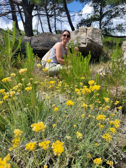 Immortelle Körperpflege-Öl