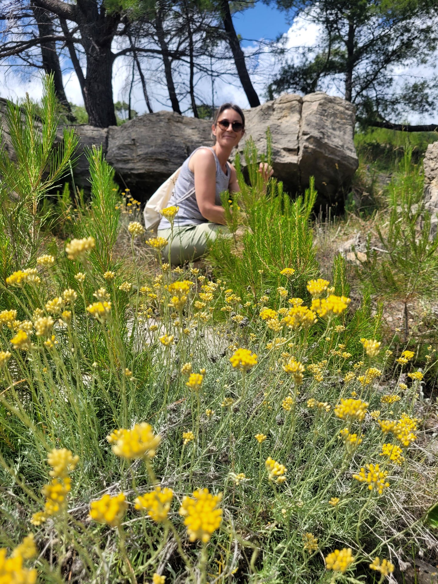 Immortelle Körperpflege-Öl