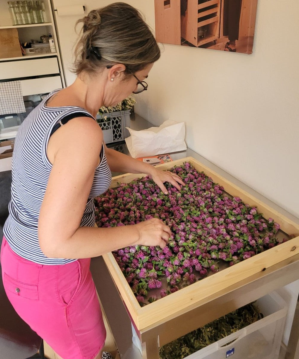 Wechsel-Spiel Essenz