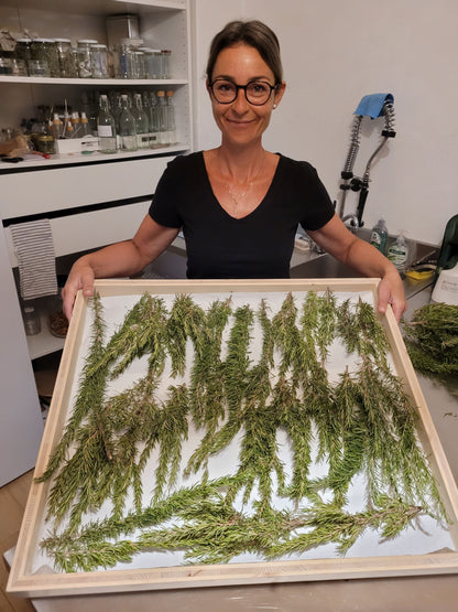 Haarwasser mit Rosmarin und Brennnesselwurzel Extrakt