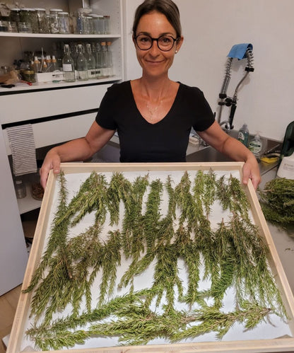 Haarwasser mit Rosmarin und Brennnesselwurzel Extrakt