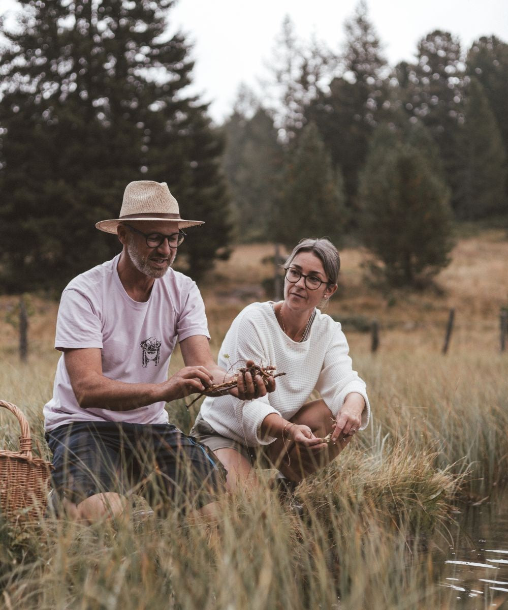 Licorice root essence