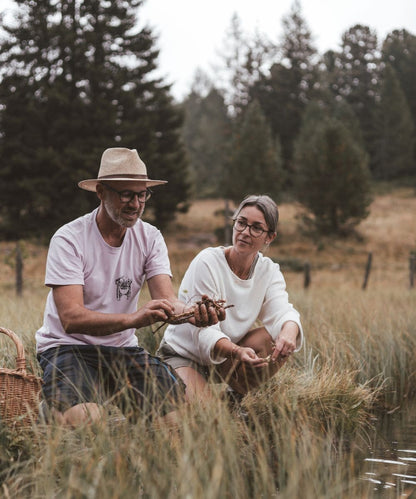 Licorice root essence