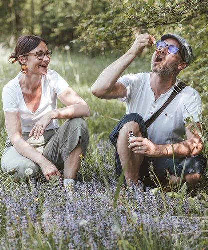 Zinnkraut (oder Ackerschachtelhalm) Essenz