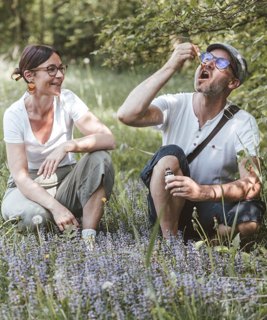 Horsetail (or field horsetail) essence
