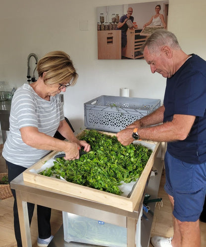 Kraut der Unsterblichkeit Tinktur