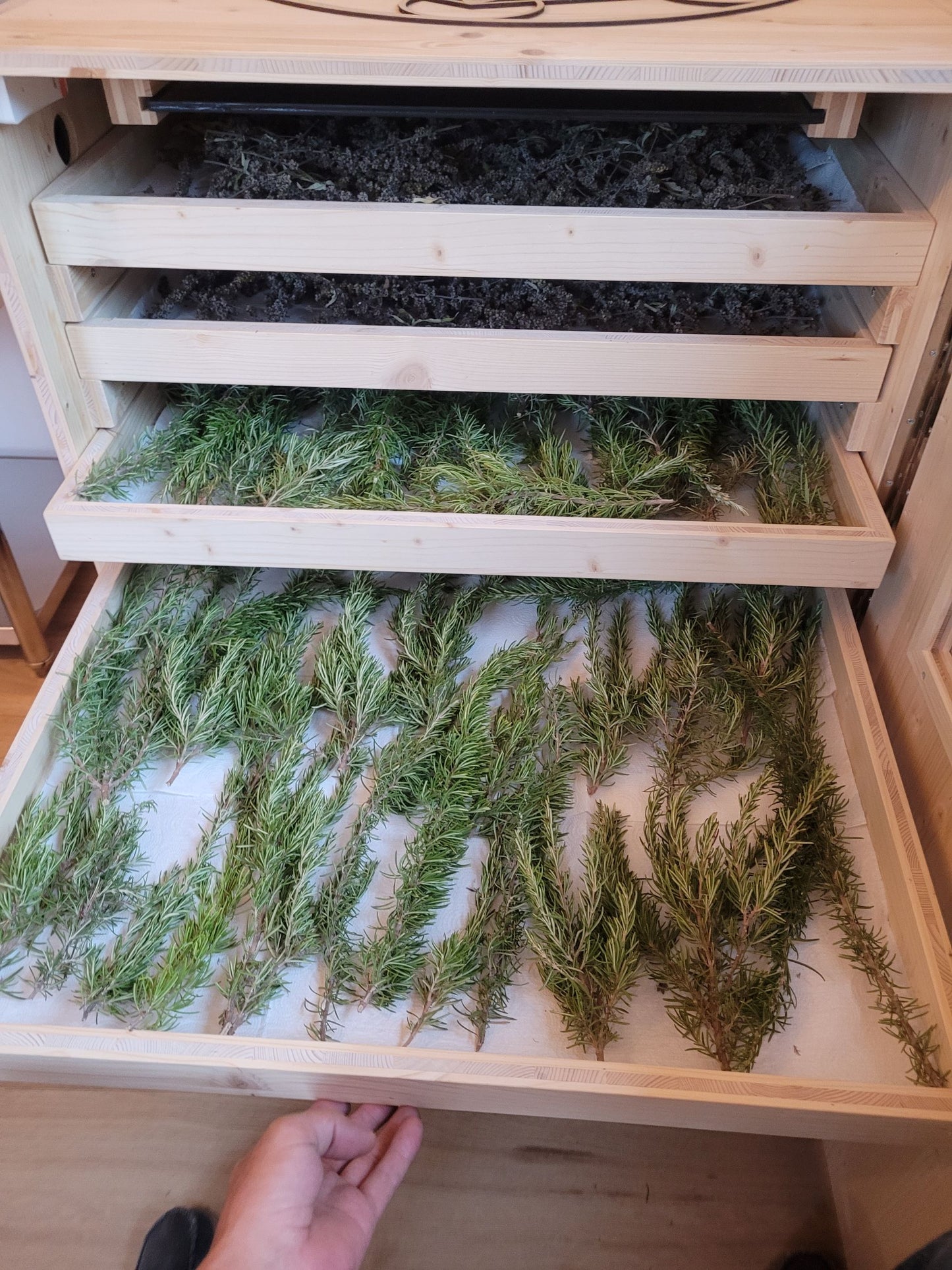 Haarwasser mit Rosmarin und Brennnesselwurzel Extrakt