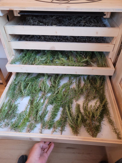 Haarwasser mit Rosmarin und Brennnesselwurzel Extrakt