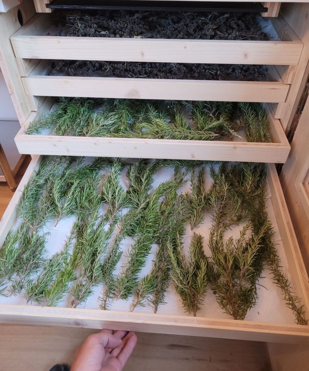 Haarwasser mit Rosmarin und Brennnesselwurzel Extrakt