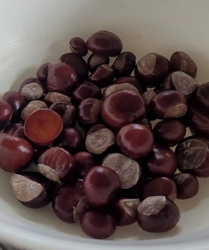 Rosskastanien Essenz