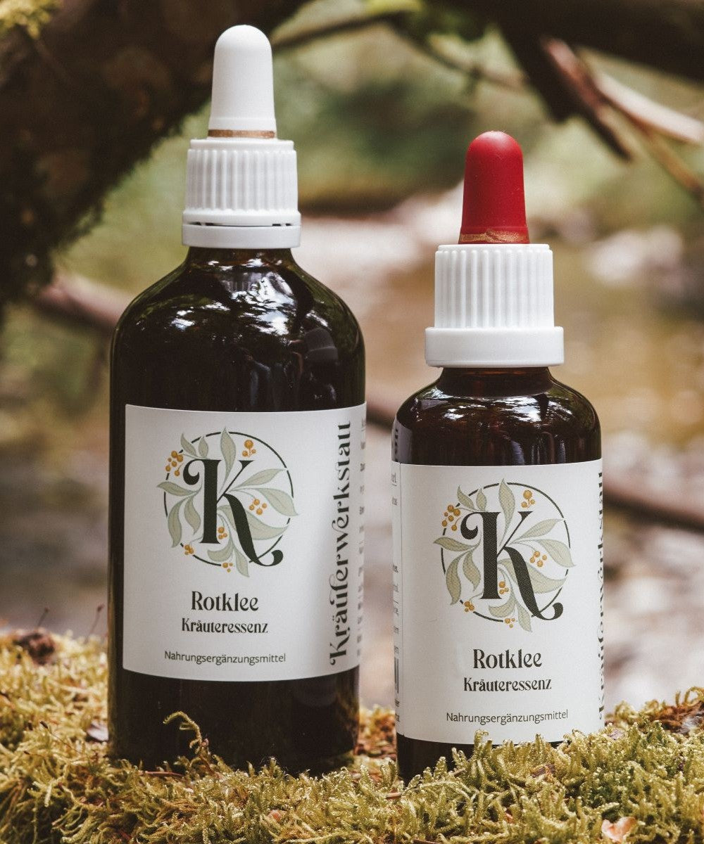 Essenza di trifoglio rosso