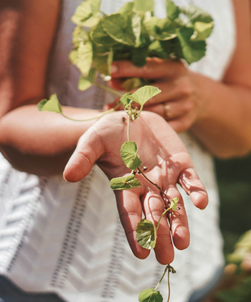 Tigergras Körperpflege-Öl