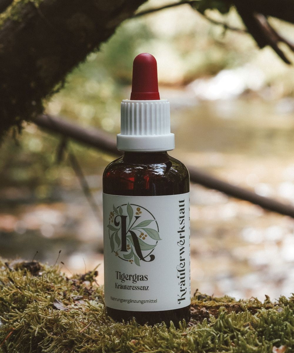 Tigergras Essenz