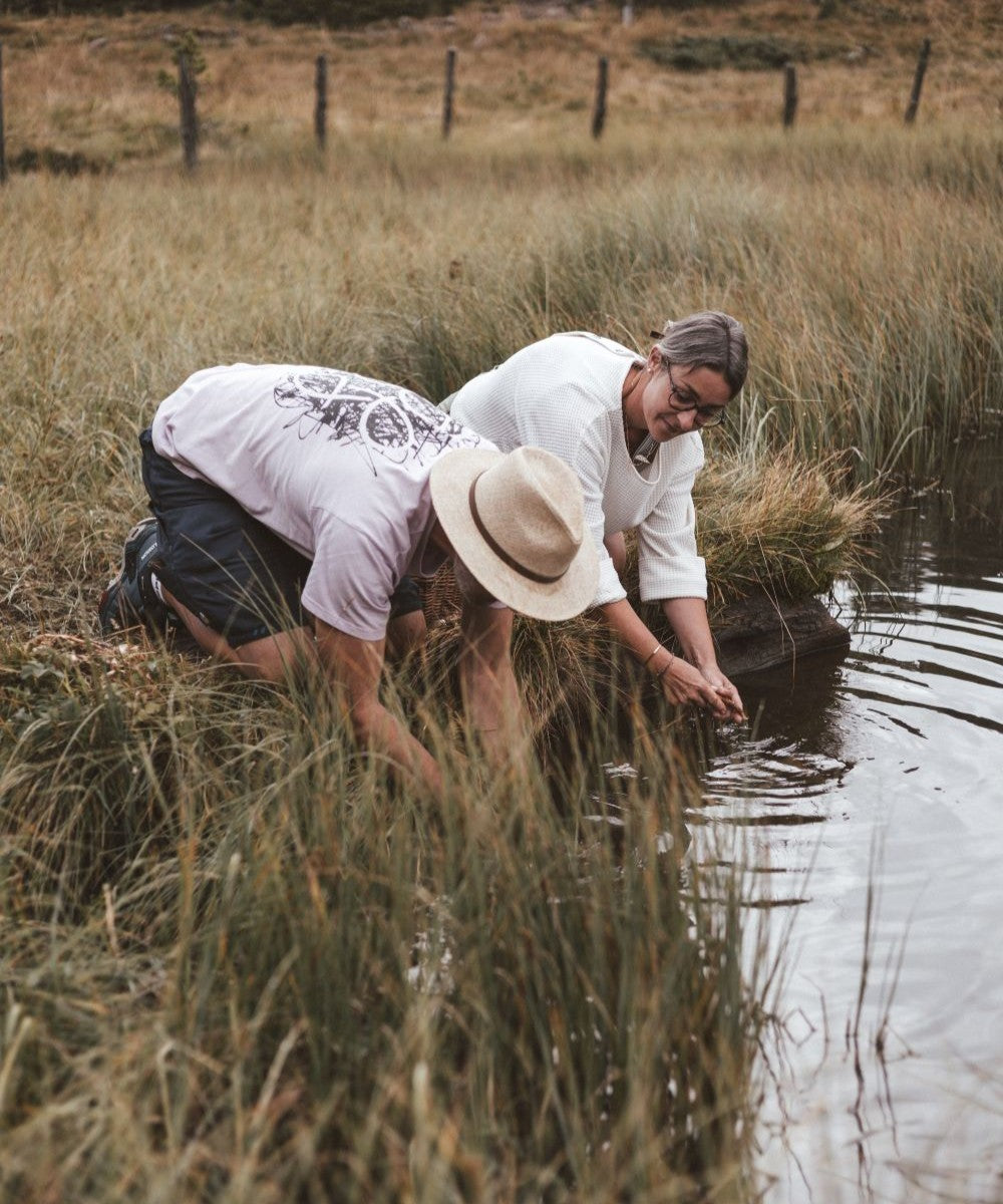 Brennnessel-Wurzel Essenz