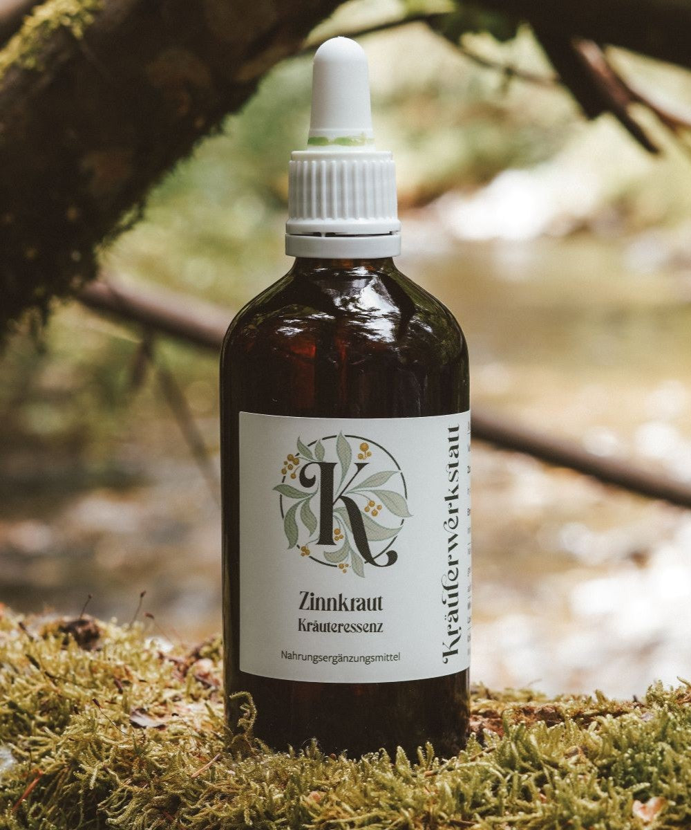 Zinnkraut (oder Ackerschachtelhalm) Essenz