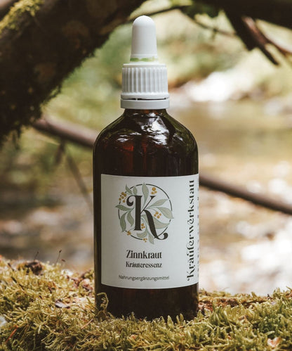 Zinnkraut (oder Ackerschachtelhalm) Essenz