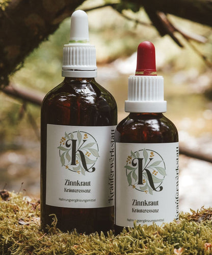 Zinnkraut (oder Ackerschachtelhalm) Essenz