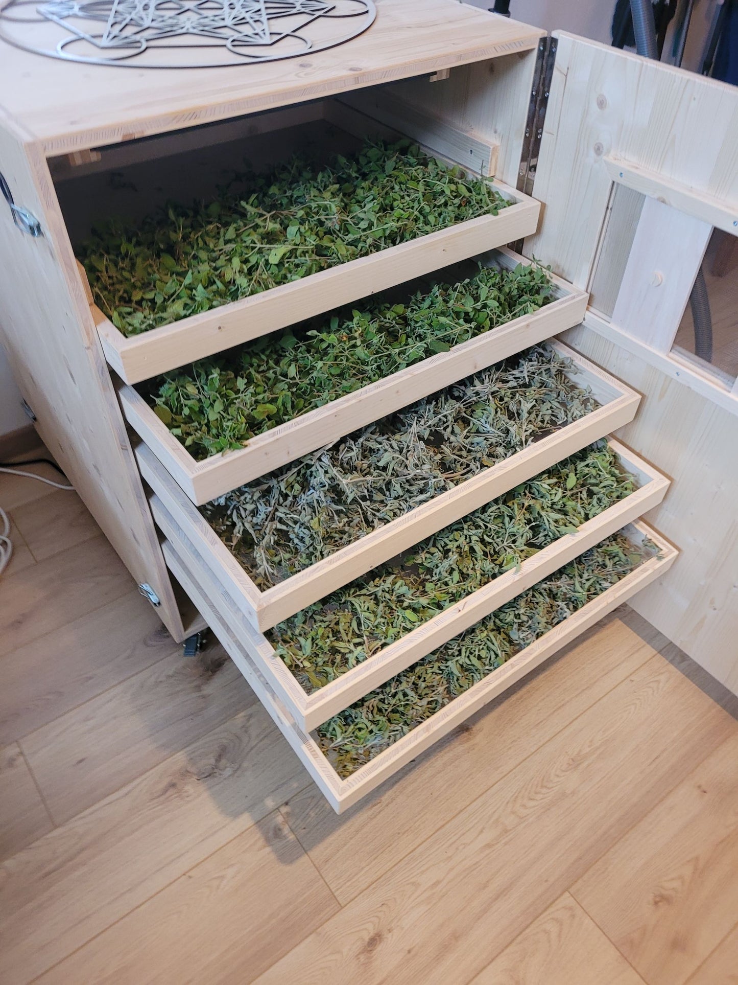 Zistrosen Körperpflege-Öl