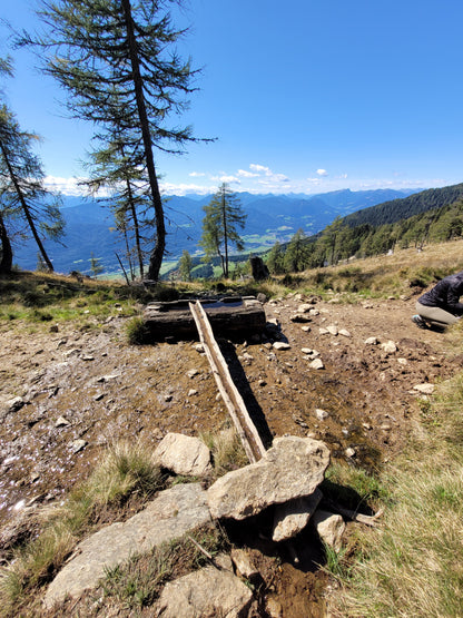 Brunnenkresse Essenz