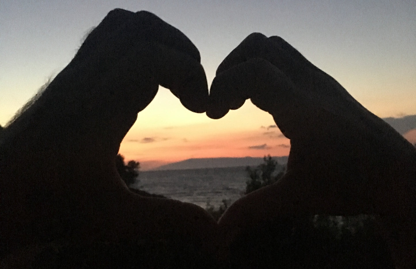 Juniper (berry) tincture