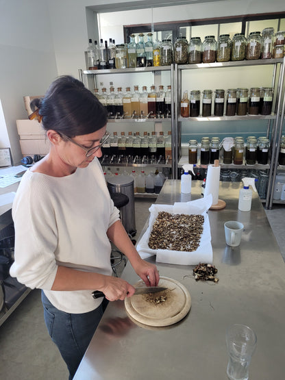 Essenza di Masterroot